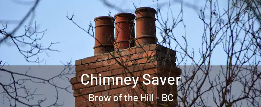  Chimney Saver Brow of the Hill - BC