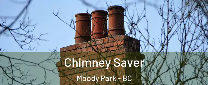  Chimney Saver Moody Park - BC