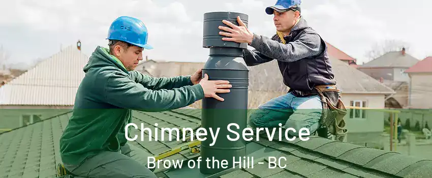  Chimney Service Brow of the Hill - BC