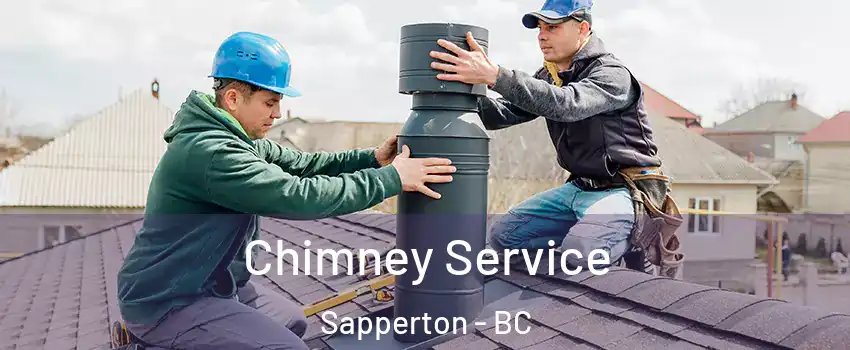  Chimney Service Sapperton - BC