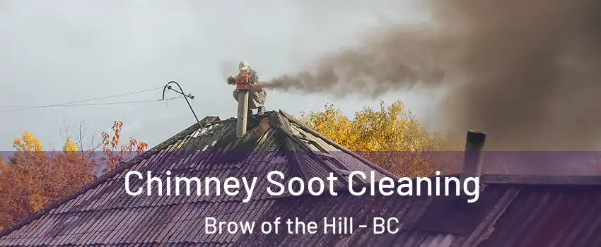  Chimney Soot Cleaning Brow of the Hill - BC