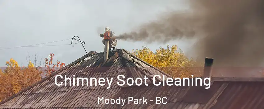  Chimney Soot Cleaning Moody Park - BC