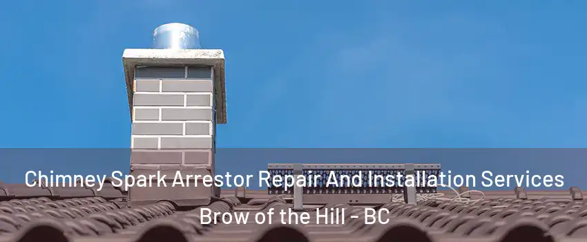  Chimney Spark Arrestor Repair And Installation Services Brow of the Hill - BC
