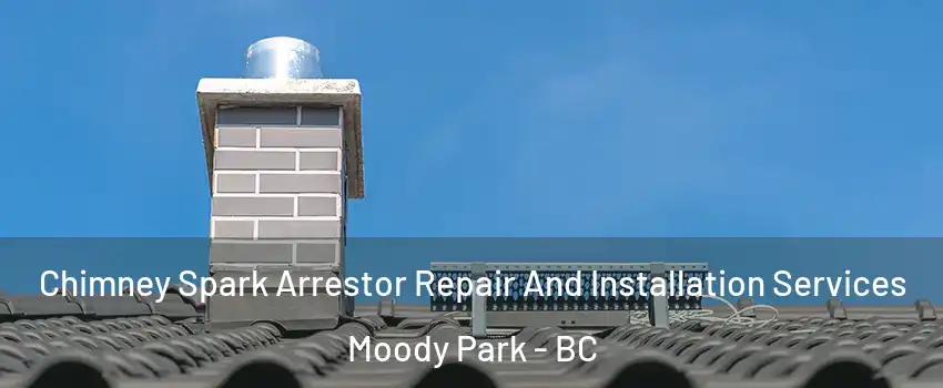  Chimney Spark Arrestor Repair And Installation Services Moody Park - BC