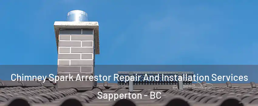  Chimney Spark Arrestor Repair And Installation Services Sapperton - BC