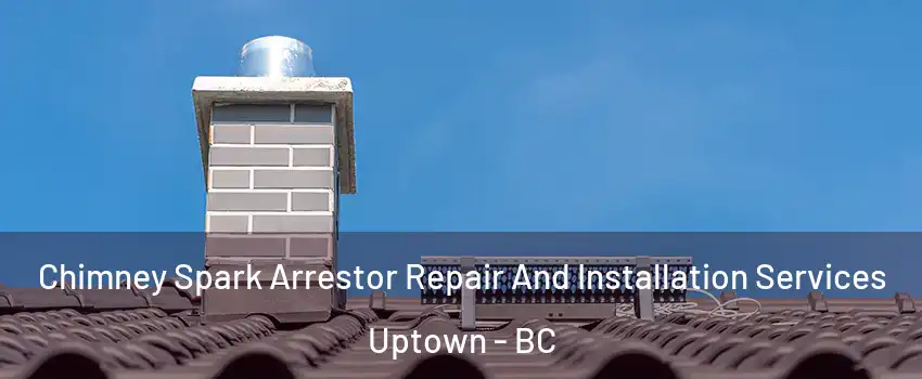  Chimney Spark Arrestor Repair And Installation Services Uptown - BC