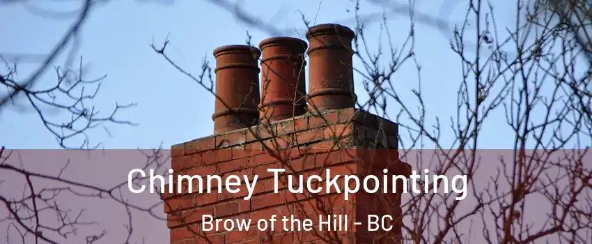  Chimney Tuckpointing Brow of the Hill - BC