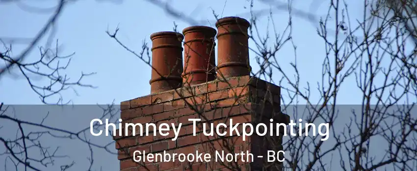  Chimney Tuckpointing Glenbrooke North - BC