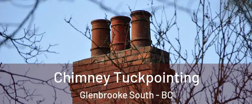  Chimney Tuckpointing Glenbrooke South - BC