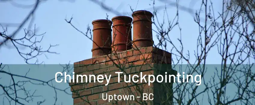  Chimney Tuckpointing Uptown - BC