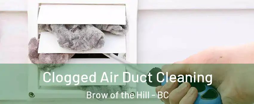  Clogged Air Duct Cleaning Brow of the Hill - BC
