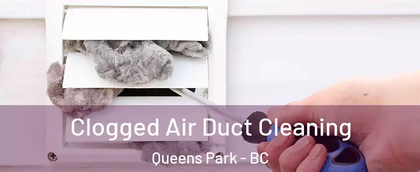  Clogged Air Duct Cleaning Queens Park - BC