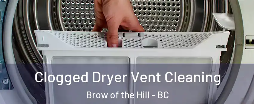  Clogged Dryer Vent Cleaning Brow of the Hill - BC