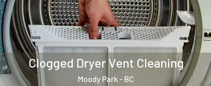  Clogged Dryer Vent Cleaning Moody Park - BC