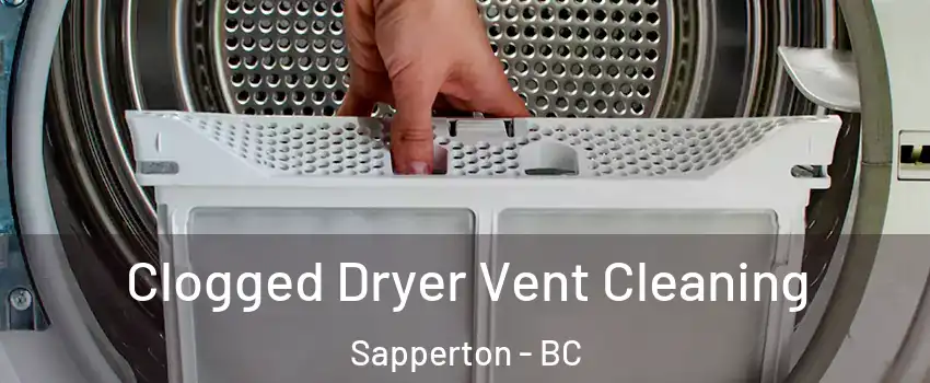  Clogged Dryer Vent Cleaning Sapperton - BC