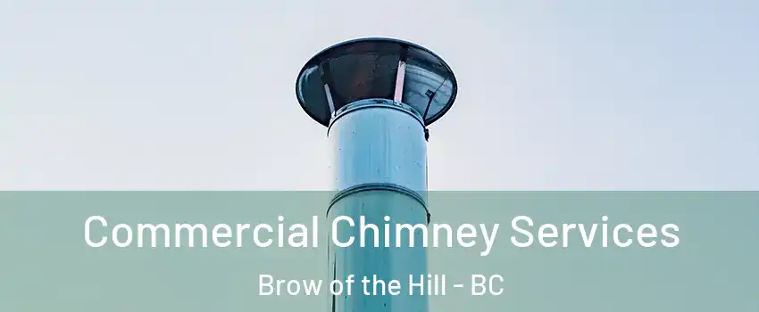  Commercial Chimney Services Brow of the Hill - BC