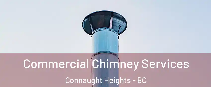  Commercial Chimney Services Connaught Heights - BC