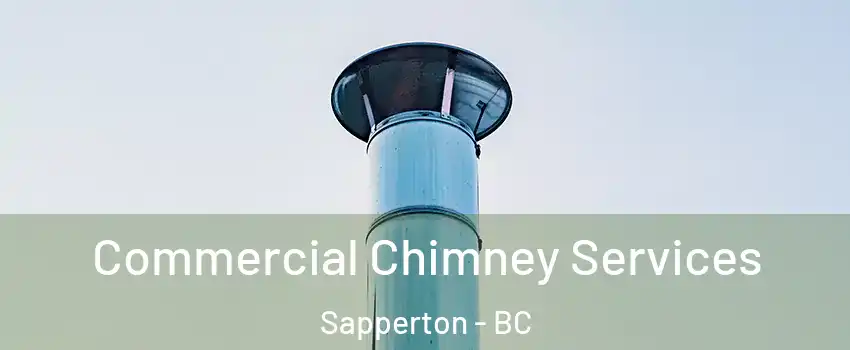  Commercial Chimney Services Sapperton - BC