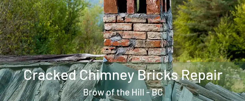  Cracked Chimney Bricks Repair Brow of the Hill - BC