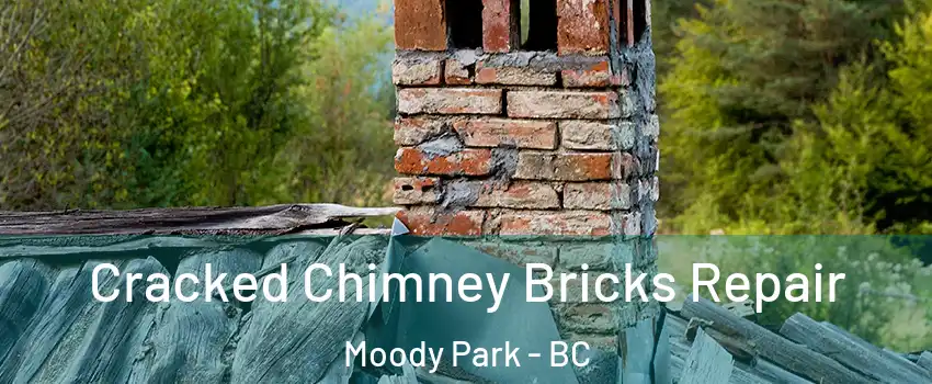  Cracked Chimney Bricks Repair Moody Park - BC