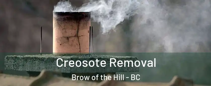  Creosote Removal Brow of the Hill - BC