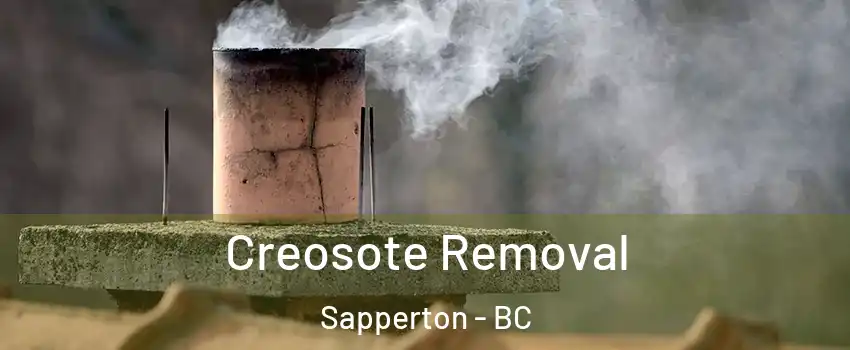  Creosote Removal Sapperton - BC