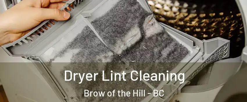  Dryer Lint Cleaning Brow of the Hill - BC