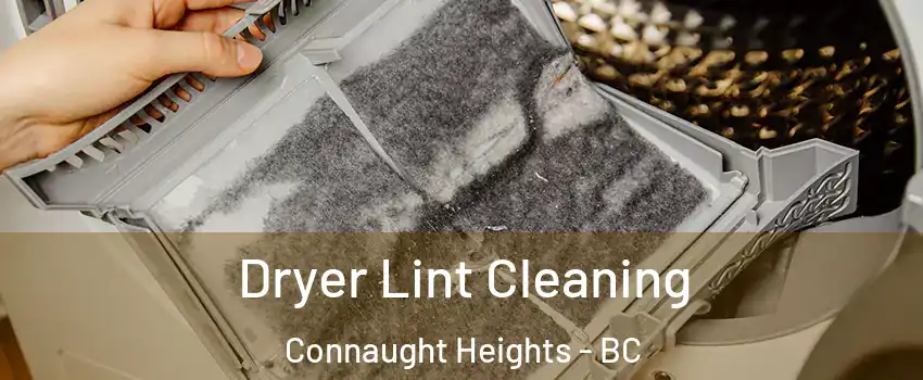  Dryer Lint Cleaning Connaught Heights - BC