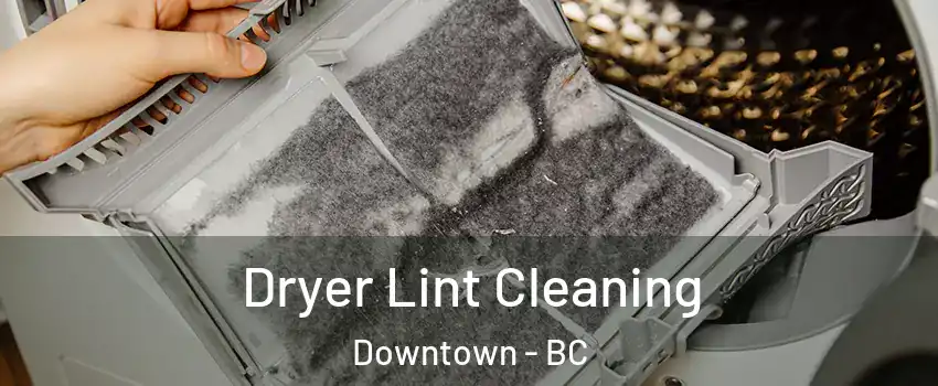  Dryer Lint Cleaning Downtown - BC