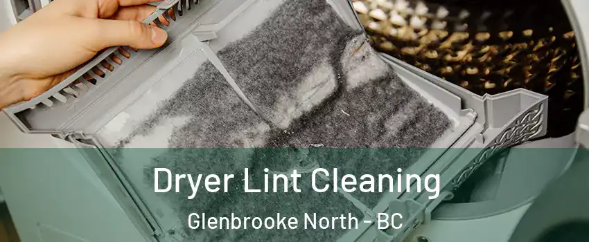  Dryer Lint Cleaning Glenbrooke North - BC
