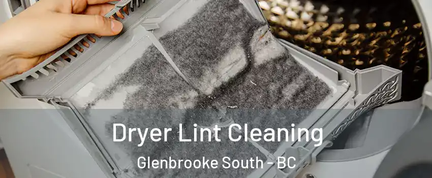  Dryer Lint Cleaning Glenbrooke South - BC
