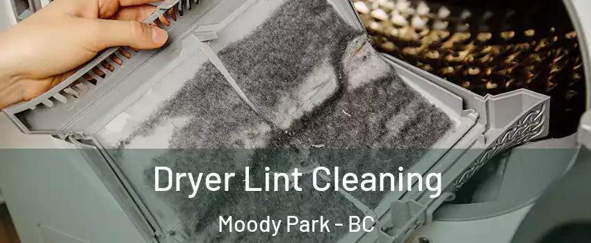  Dryer Lint Cleaning Moody Park - BC