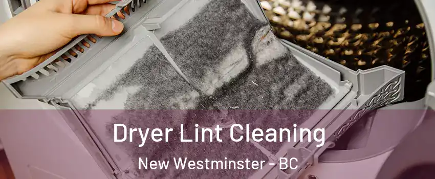  Dryer Lint Cleaning New Westminster - BC