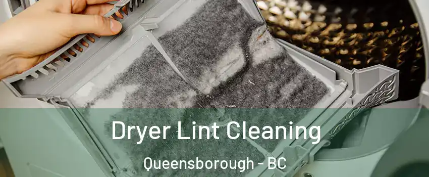  Dryer Lint Cleaning Queensborough - BC