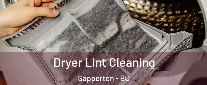  Dryer Lint Cleaning Sapperton - BC