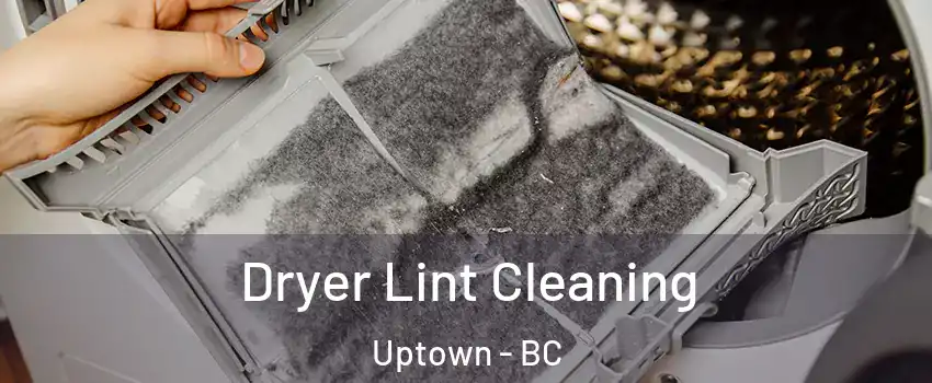  Dryer Lint Cleaning Uptown - BC