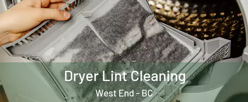  Dryer Lint Cleaning West End - BC