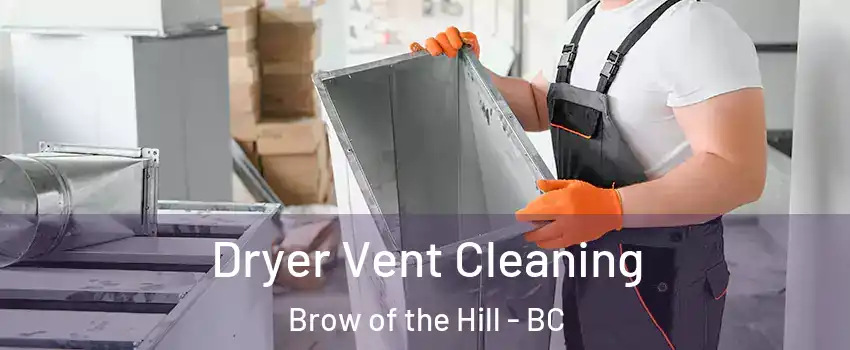  Dryer Vent Cleaning Brow of the Hill - BC