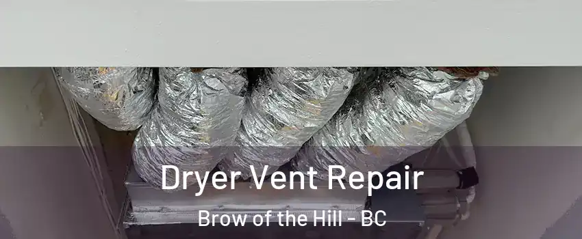  Dryer Vent Repair Brow of the Hill - BC