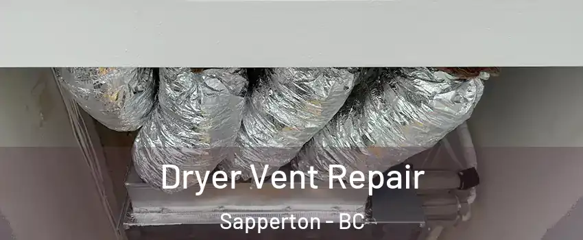  Dryer Vent Repair Sapperton - BC