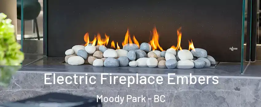  Electric Fireplace Embers Moody Park - BC