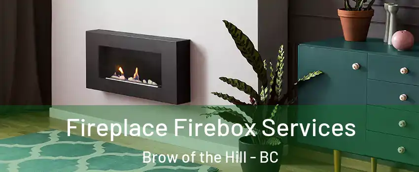  Fireplace Firebox Services Brow of the Hill - BC
