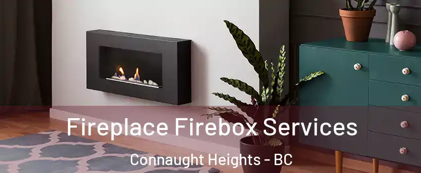  Fireplace Firebox Services Connaught Heights - BC