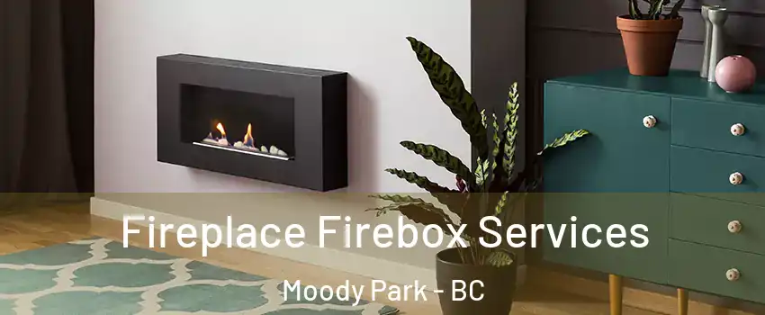  Fireplace Firebox Services Moody Park - BC