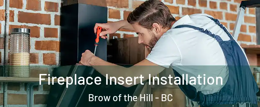 Fireplace Insert Installation Brow of the Hill - BC