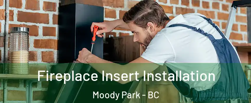  Fireplace Insert Installation Moody Park - BC