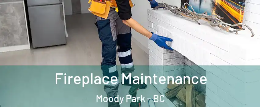  Fireplace Maintenance Moody Park - BC