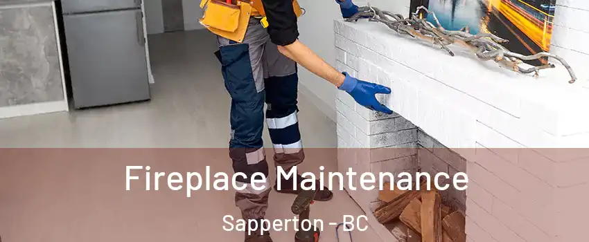  Fireplace Maintenance Sapperton - BC