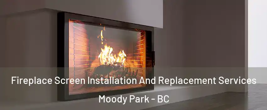 Fireplace Screen Installation And Replacement Services Moody Park - BC