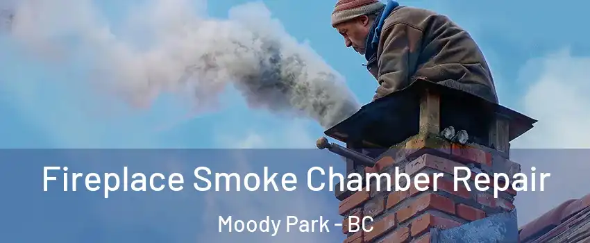  Fireplace Smoke Chamber Repair Moody Park - BC